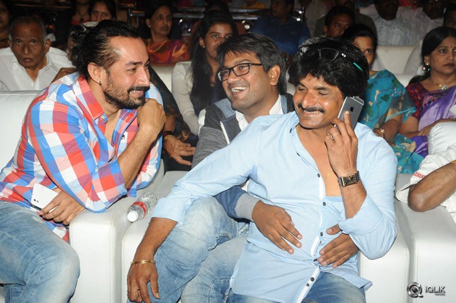Son-Of-Sathyamurthy-Movie-Audio-Launch